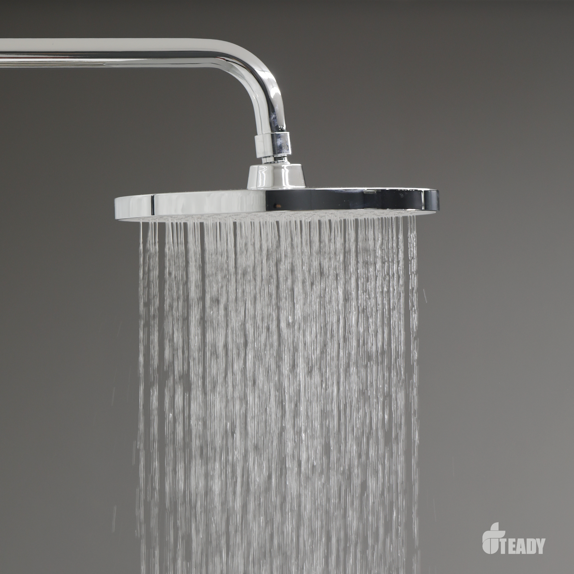 Sen-cay-nong-lanh-Sc-2000 Sen-cay-nong-lanh-Sc-2000